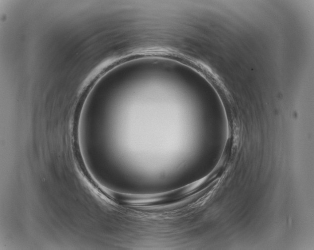 X0000086061422200703231230