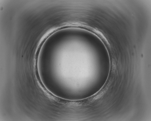 X0000086061424200703231230