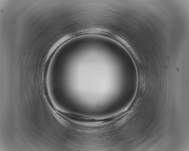 X0000086061426200703231230