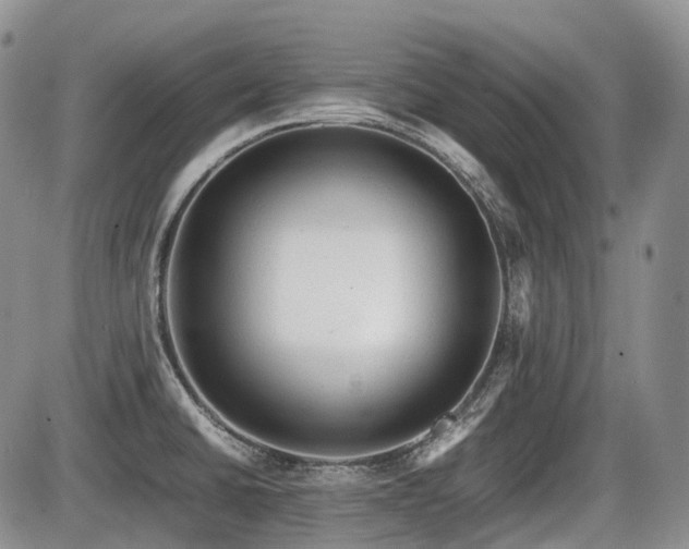 X0000086061430200703231230