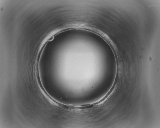 X0000086061432200703231230