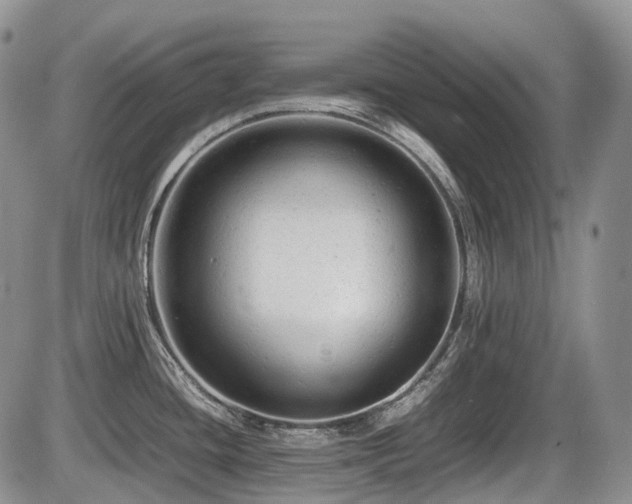 X0000086061436200703231230