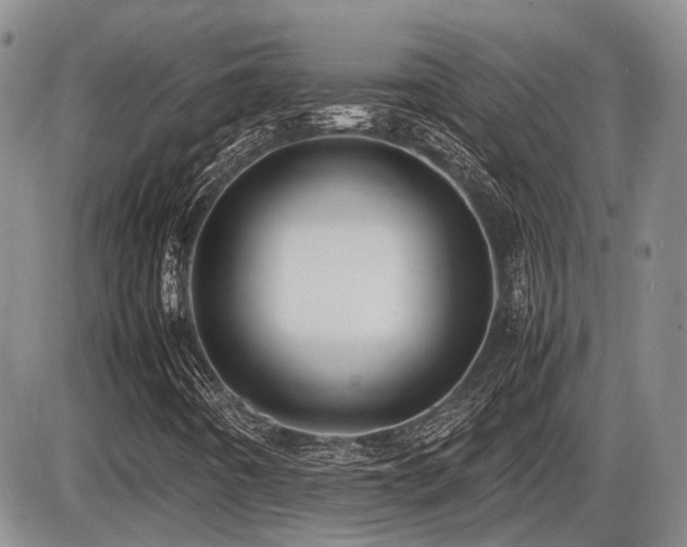 X0000086061442200703231229