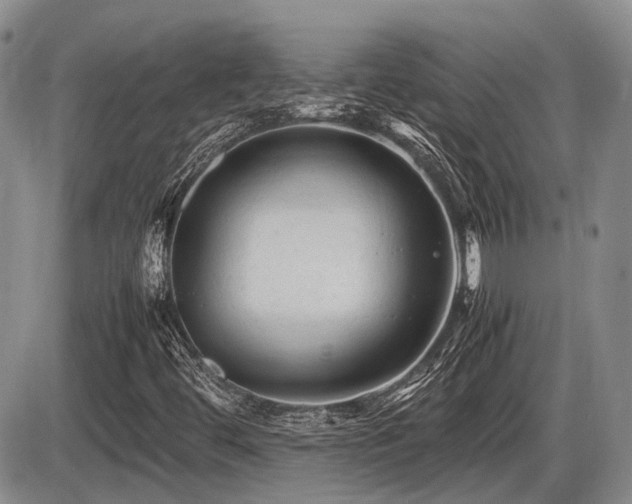 X0000086061444200703231229