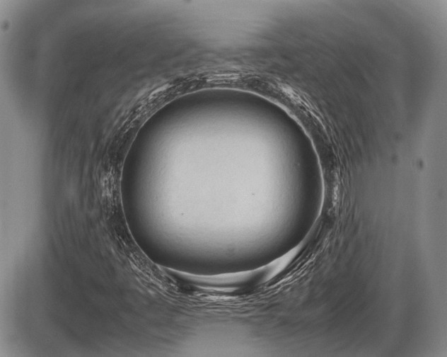 X0000086061445200703231229