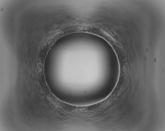 X0000086061447200703231229