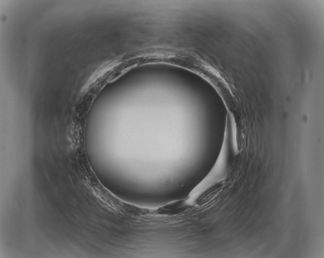 X0000086061448200703231229