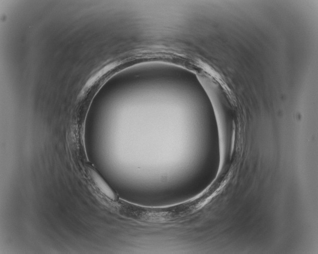 X0000086061453200703231229