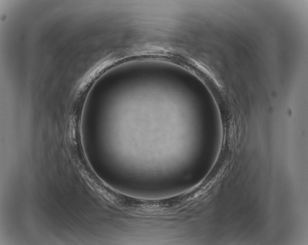 X0000086061455200703231229
