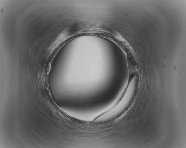 X0000086061457200703231229