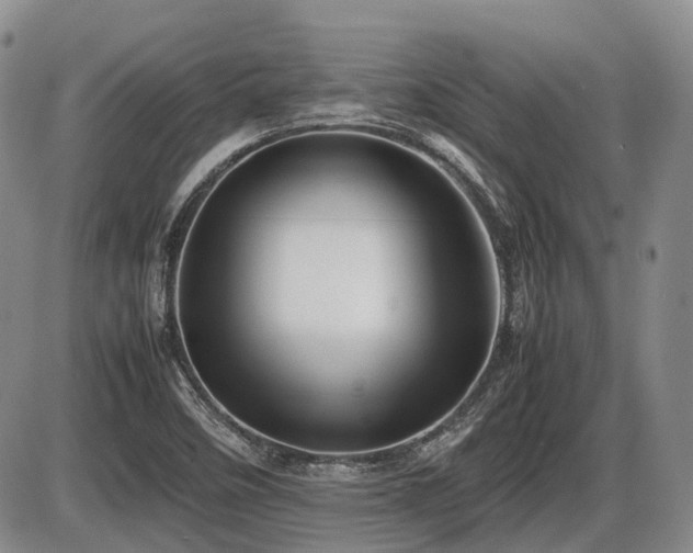 X0000086061458200703231229