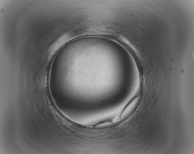 X0000086061459200703231229