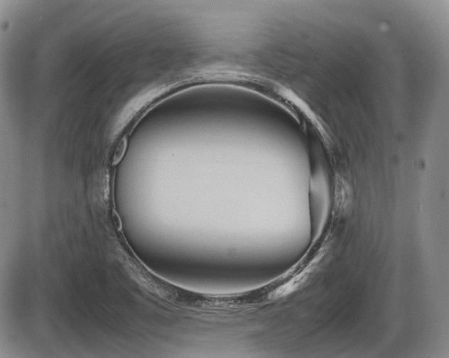 X0000086061461200703231229