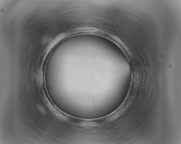 X0000086061466200703231229