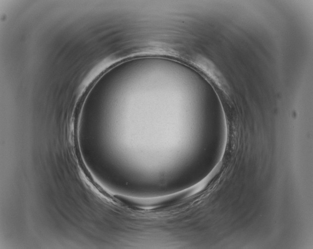 X0000086061468200703231229