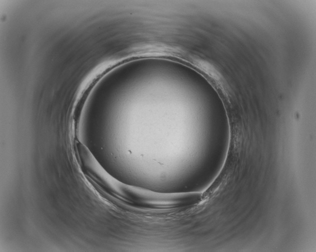 X0000086061472200703231229