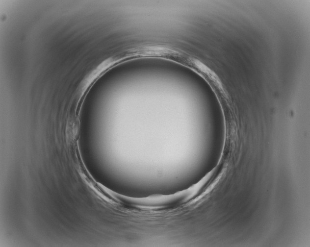 X0000086061473200703231229