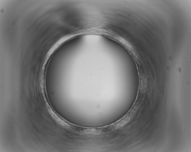 X0000086061478200703231229