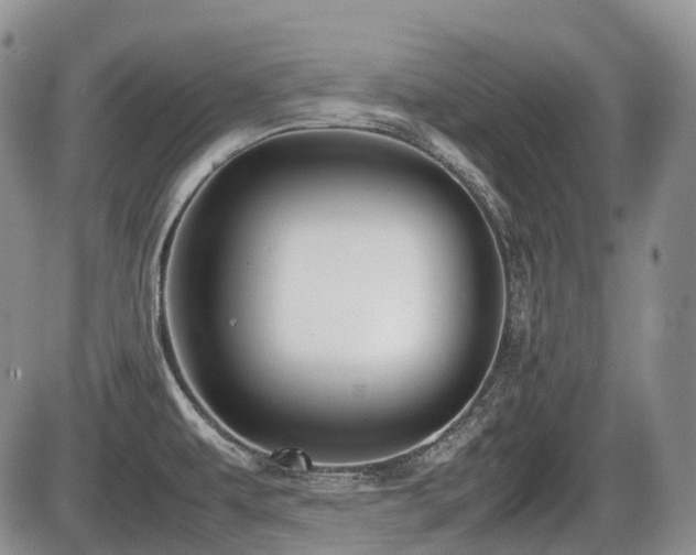 X0000086061479200703231229