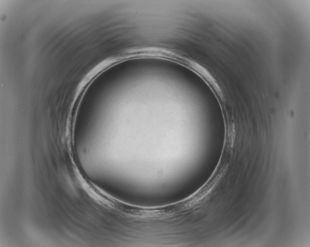 X0000086061482200703231229