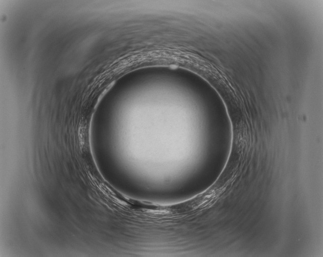 X0000086061490200703231228