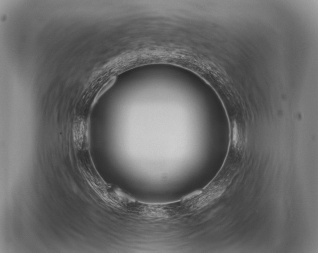 X0000086061492200703231228