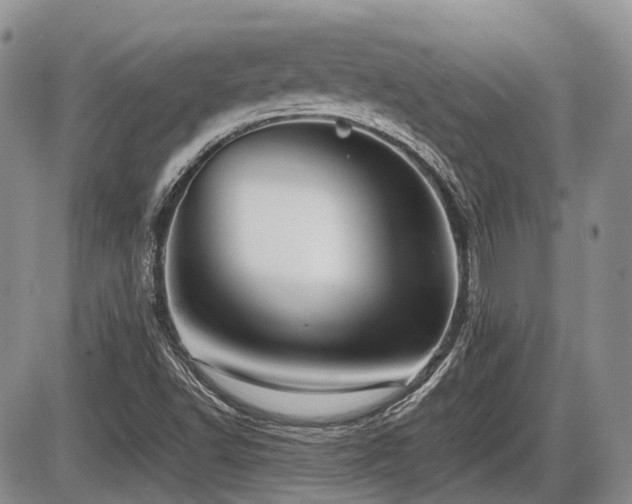X0000086061502200703231228