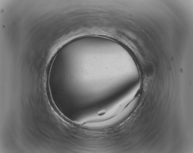 X0000086061508200703231228