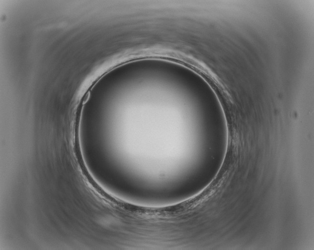 X0000086061512200703231228