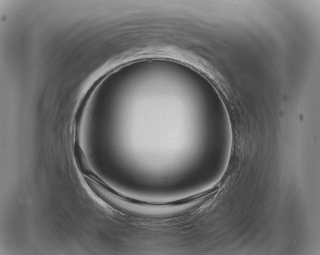X0000086061519200703231228
