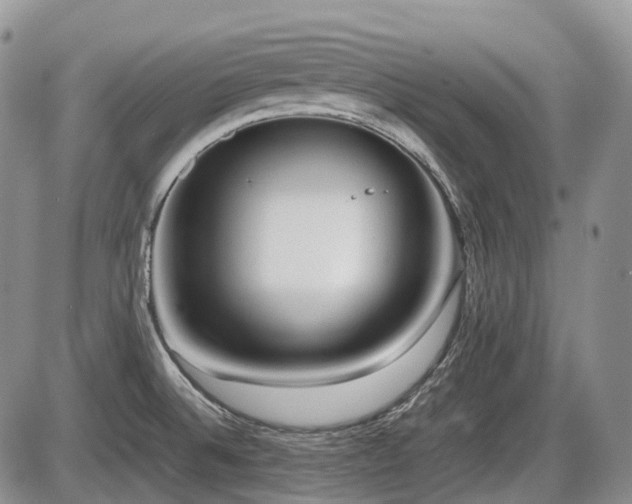 X0000086061524200703231228