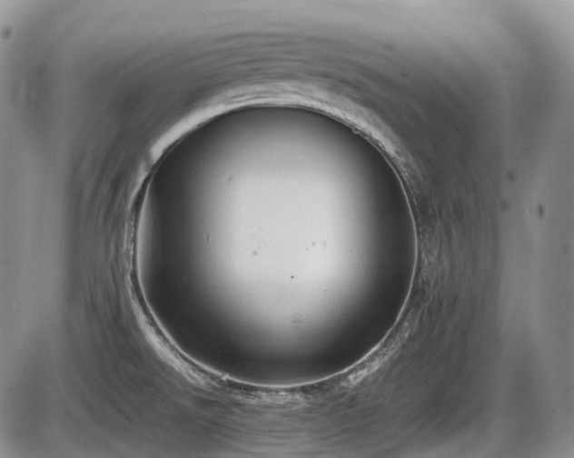 X0000086061526200703231228