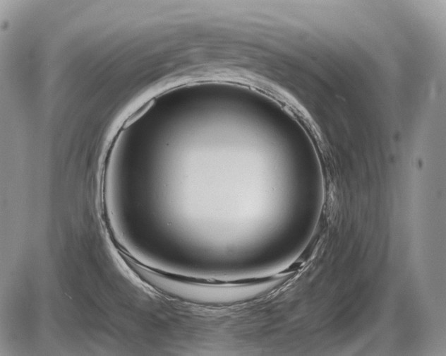 X0000086061528200703231228