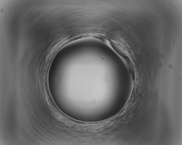 X0000086060001200703301053