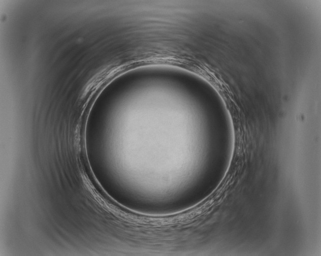 X0000086060002200703301053