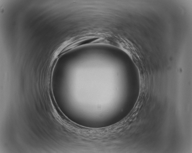 X0000086060003200703301053