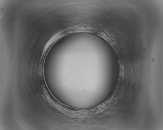 X0000086060004200703301053