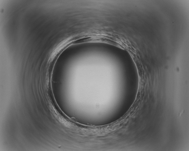 X0000086060005200703301053