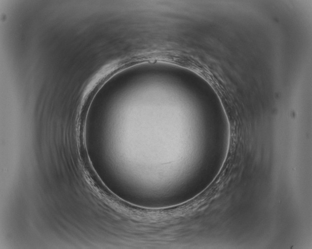 X0000086060006200703301053