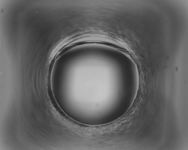 X0000086060007200703301052