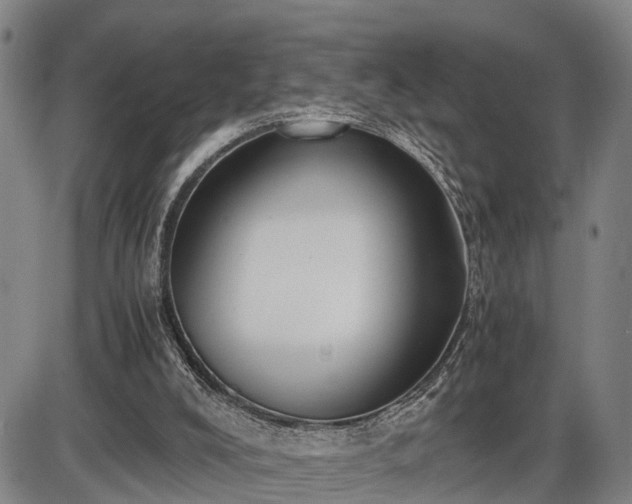 X0000086060008200703301052