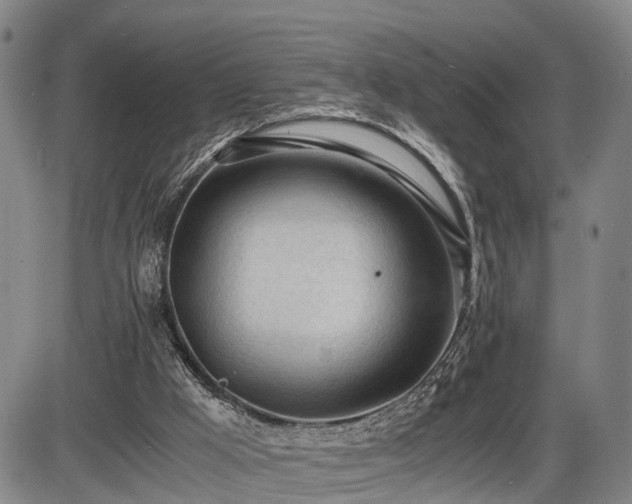 X0000086060009200703301052