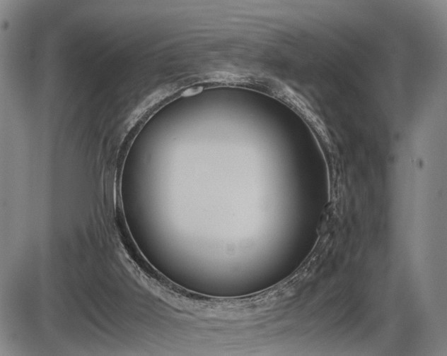 X0000086060011200703301052