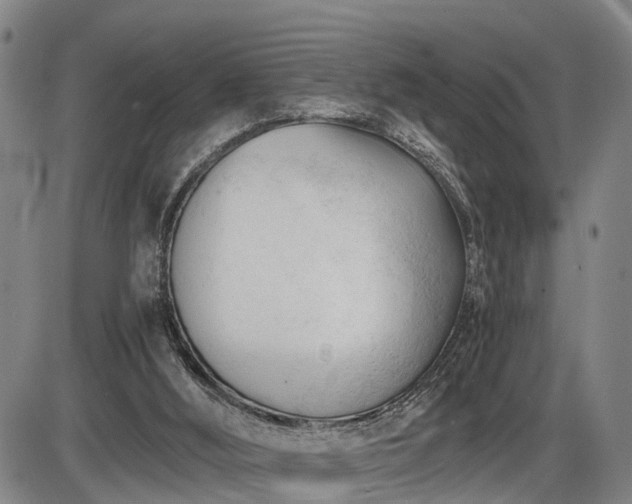 X0000086060012200703301052