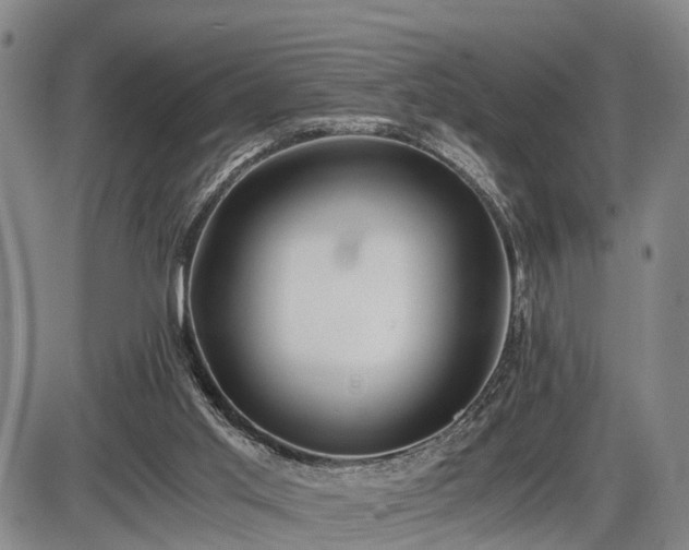 X0000086060013200703301052