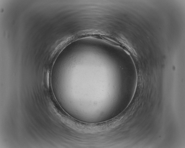 X0000086060014200703301052