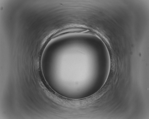 X0000086060015200703301052