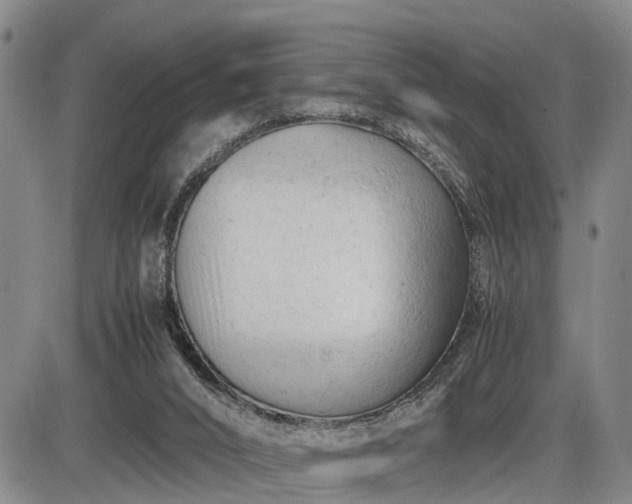 X0000086060016200703301052