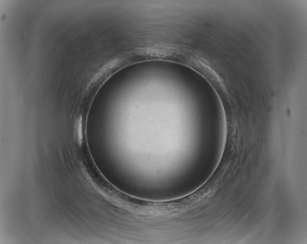 X0000086060020200703301052