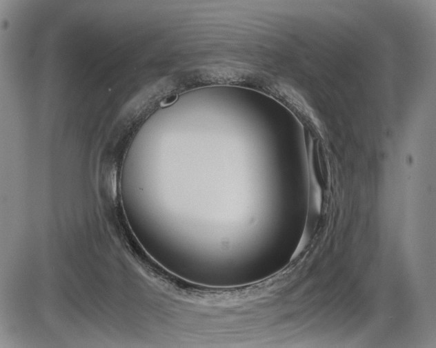 X0000086060021200703301052